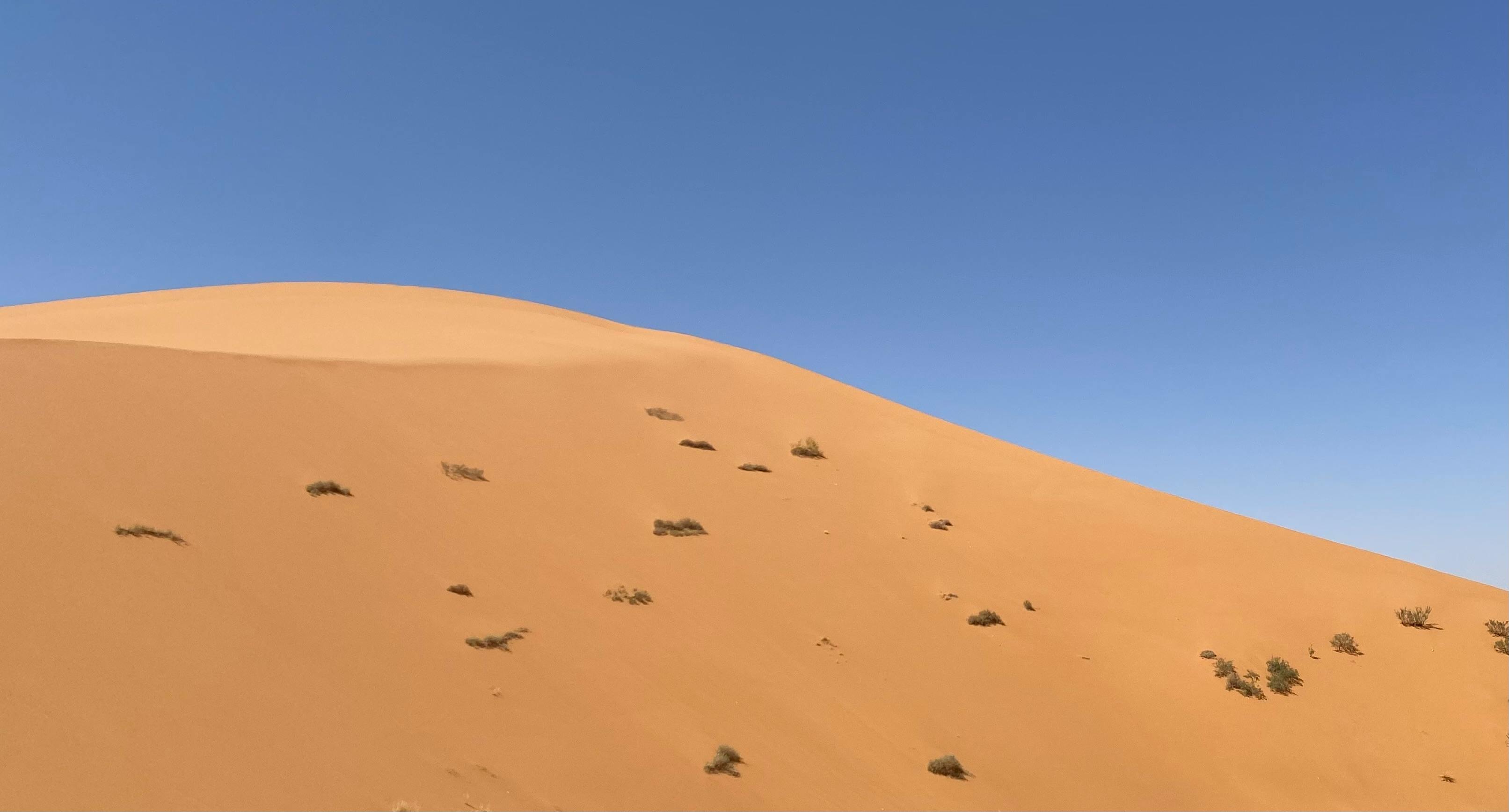 04LockSupprt注释版